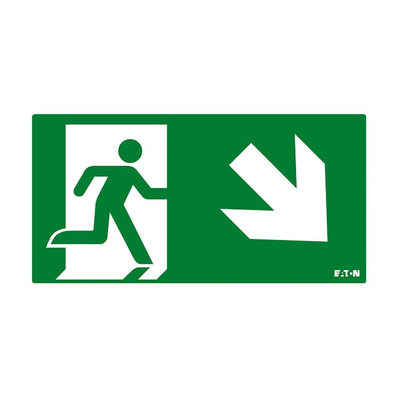 Ceag Notlichtsysteme - Piktogramm für Not-/Hinweisleuchte Piktogramm FT2EWEC-PICTO-DR