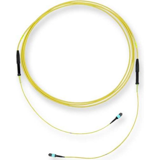 Corning - Patchkabel LWL LWL-Trunkkabel Edge XB G909012GLZ88U025M 12F MTP/f-MTP/f