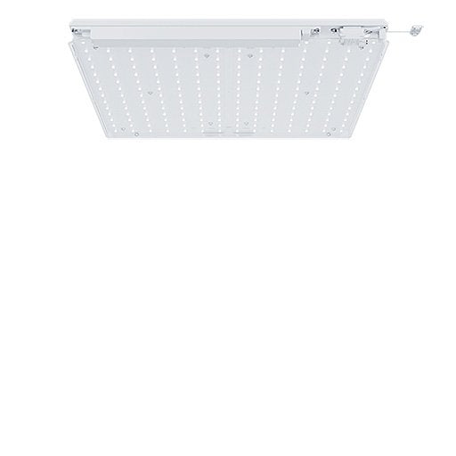Zumtobel Group - Decken - /Wandleuchte Nachrüst - Set LE CLEAN #42189834 840