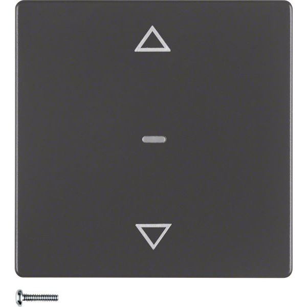 Berker - Bussystem-Tastwippe KNX-Funk Jalousie-Taste 85245226 anthrazit samt