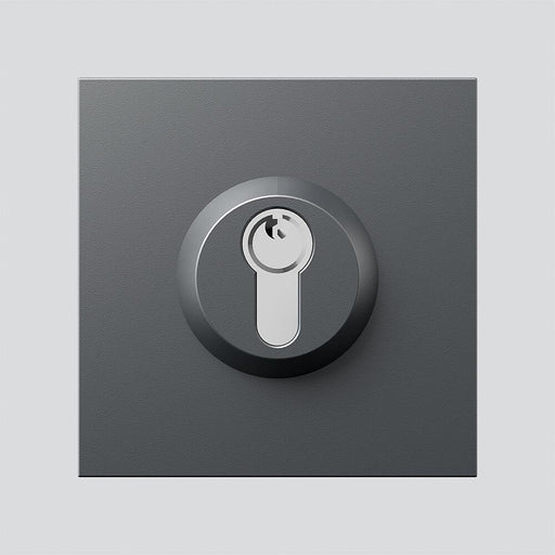 Siedle&Söhne - Funktionsmodul für Türkommunikation Schloss-Modul SM 611-01 DG dgr/gli