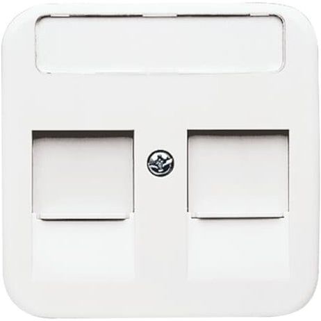 Busch-Jaeger - Einsatz/Abdeckung für Kommunikationstechnik Zentralscheibe aws 1800-214 Mod.Jack,2Ö,Beschri