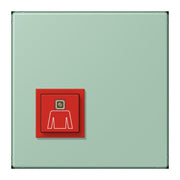 Jung - Behindertenelement für Installationsschalterprogramme Notrufsystem Ruftaster NRS LC 0834 RT 217 vert anglais clair