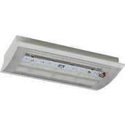 Ceag Notlichtsysteme - Sicherheitsleuchte LED-Sicherheitsleuchte StyleII22011LEDSLCGS