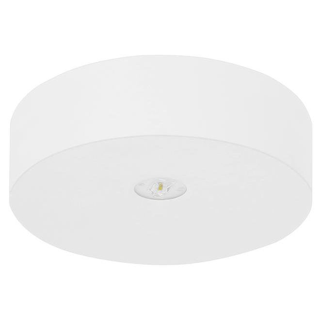 Fischer - Sicherheitsleuchte LED-Sicherheitsleuchte AXD315M EB 3h