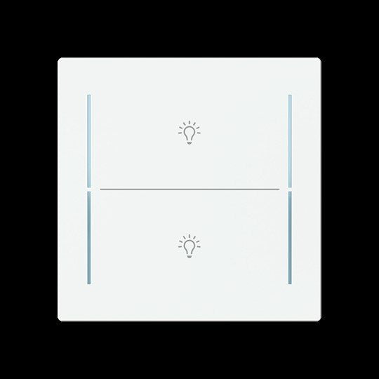 Busch-Jaeger - Bussystem-Tastwippe Abdeckung als Taster LFBT/A.2.70.11-44m 2f. Symb.Beleuchtung