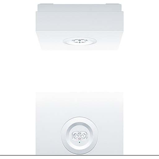 Zumtobel Group - Sicherheitsleuchte Sicherheitsleuchte RESCLITE P #42931401
