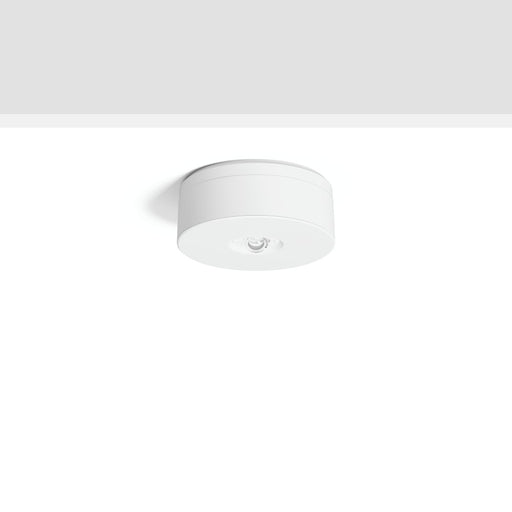RZB - Sicherheitsleuchte LED-Sicherheitsleuchte 672529.002 ZB, autom.Selbsttest