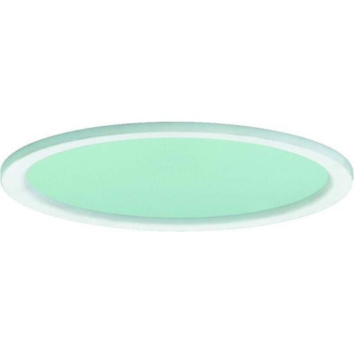 Ridi-Leuchten - Lichttechnisches Zubehör/Ersatzteile für Leuchten Microprismenscheibe DR235-MPS-G-D-W