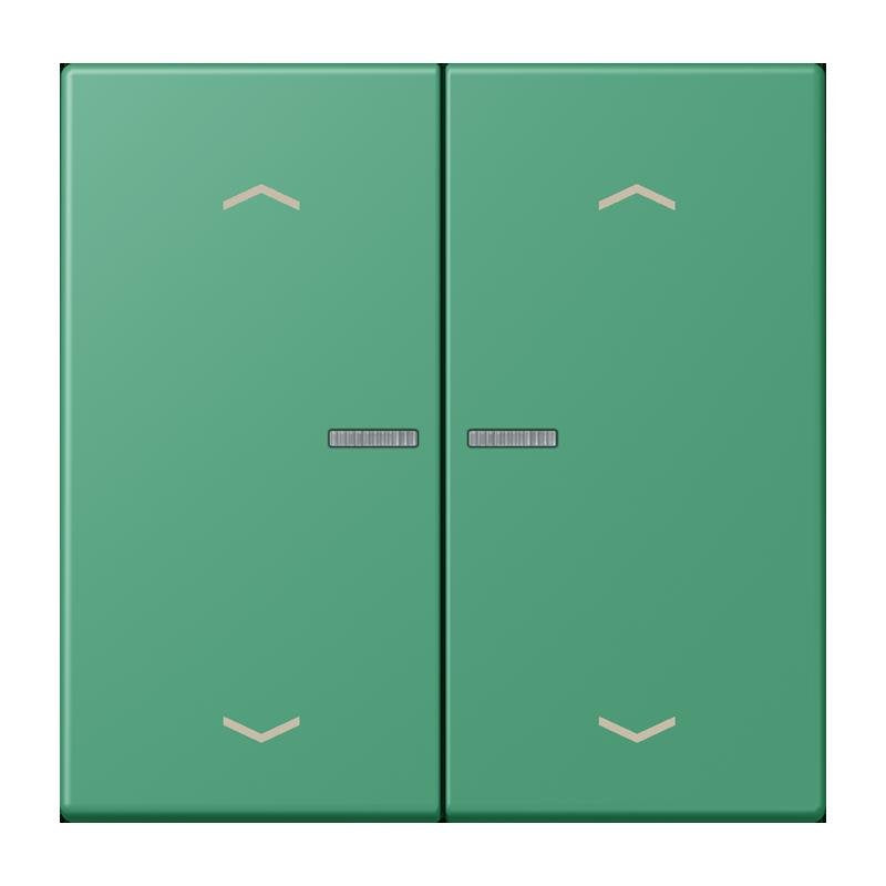 Jung - Abdeckung/Bedienelement für Installationsschalterprogramme Wippe mit Lichtleiter LC 102 KO5P 250 vert 59