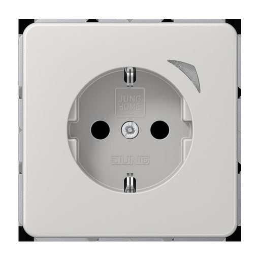 Jung - Steckdose SCHUKO Steckdose 16 A 250V BT CD 1521 S LG m. Berührungsschutz