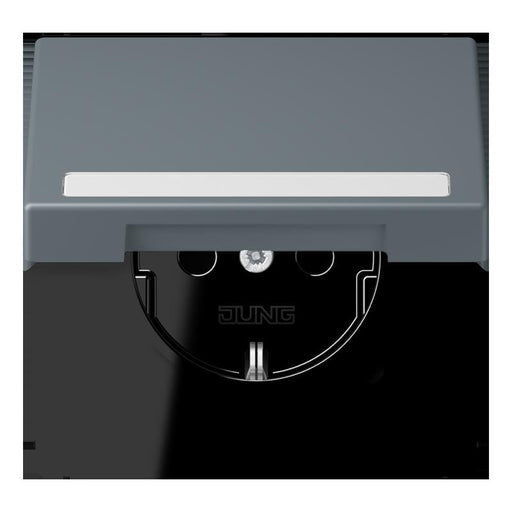 Jung - Steckdose SCHUKO Steckdose LC 1520 BFNAKL 251 gris 59 (4320H)