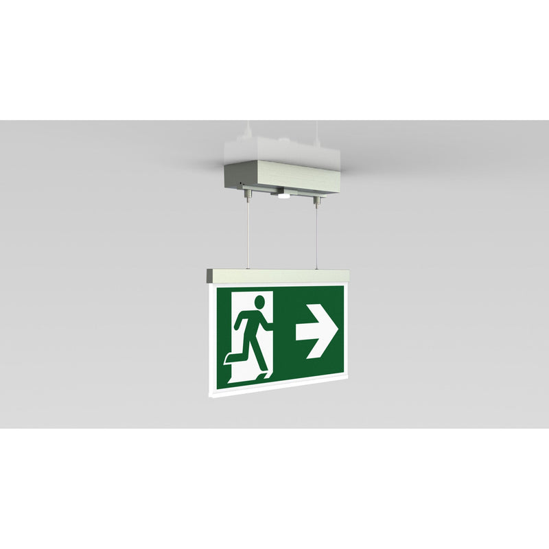 RP-Technik - Sicherheitsleuchte LED-Rettungszeichenleuchte AMDT009ML-E ZB, Edelstahloptik
