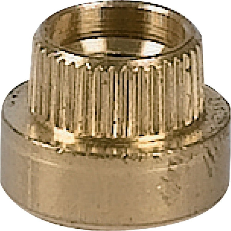 Eaton - Einpressmutter Einschlagmutter EM5-CI M5 − 100 Stück