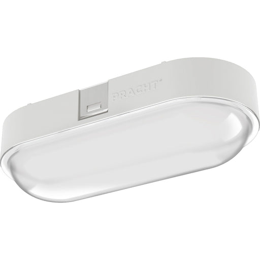 Pracht - Decken-/Wandleuchte LED-Ovalleuchte NINA ECO #5200010 840
