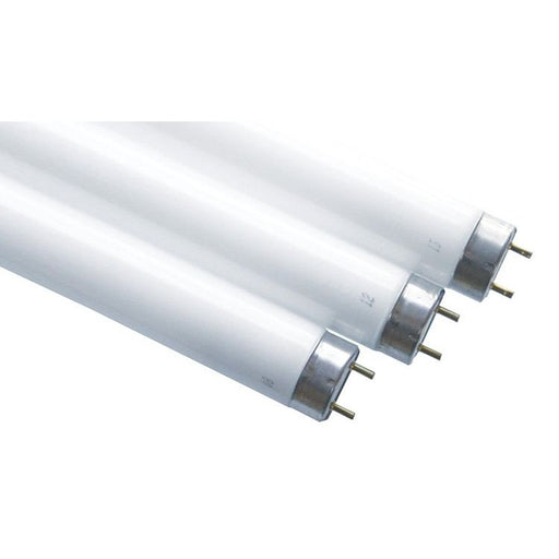 Scharnberger+Hasenbein - Leuchtstofflampe T8 68180 26x1500mm G13 58W