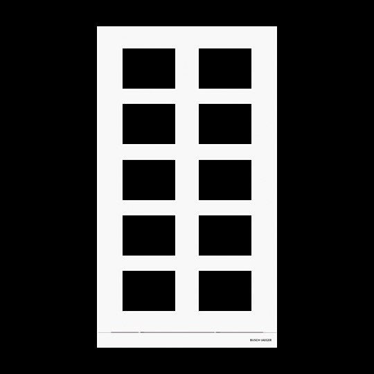 Busch-Jaeger - Montageelement für Türstation Frontplatte Audio 2/5 413910CF-W-03