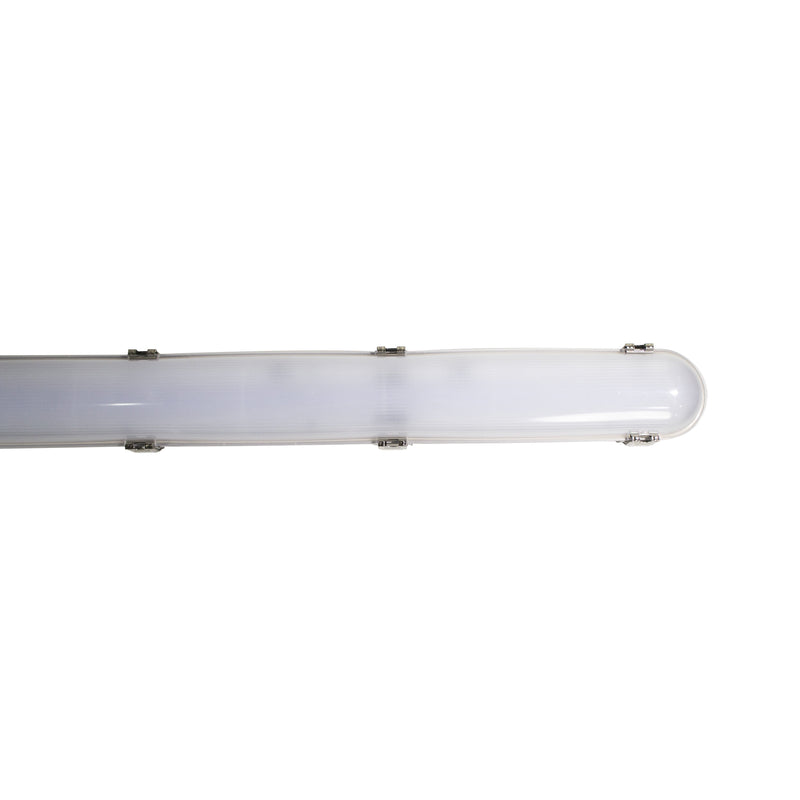 RP-Technik - Sicherheitsleuchte LFD15008SC-NW EB + SC/8h