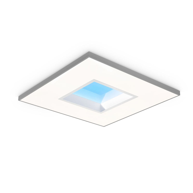Philips Lighting - Decken - /Wandleuchte LED - Leuchte Nature Connect LP911P #10844800 2700 - 6500K, grau