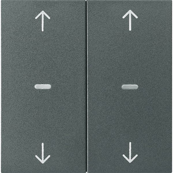 Berker - Abdeckung/Bedienelement für Installationsschalterprogramme Abdeckung Tastsensor-Modul 80961385 2-fach anthrazit