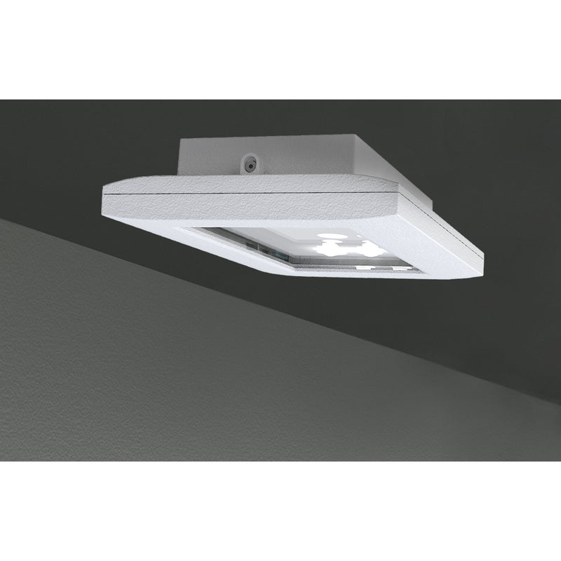 RP-Technik - Sicherheitsleuchte FMDS029ML ZB, ML