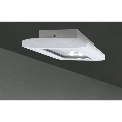 RP-Technik - Sicherheitsleuchte FMDS029ML ZB, ML