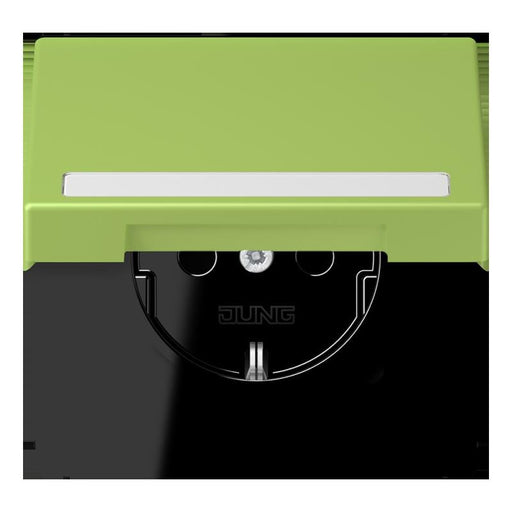 Jung - Steckdose SCHUKO Steckdose LC 1520 BFNAKL 221 vert clair (32052)