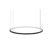 Brumberg Leuchten - Pendelleuchte LED-Pendel-Ringleuchte 84072183 3000K, DALI-2
