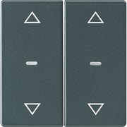 Berker - Abdeckung/Bedienelement für Installationsschalterprogramme Abdeckung Tastsensor-Modul 80961326 2-fach anthrazit