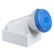 Schneider Electric - CEE-Steckdose (IEC 60309) Industriesteckdose 83167 32A, 200-250V AC