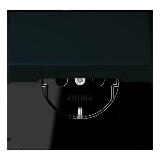 Jung - Steckdose SCHUKO Steckdose LC 1520 BFKL 248 noir divoire (4320E)