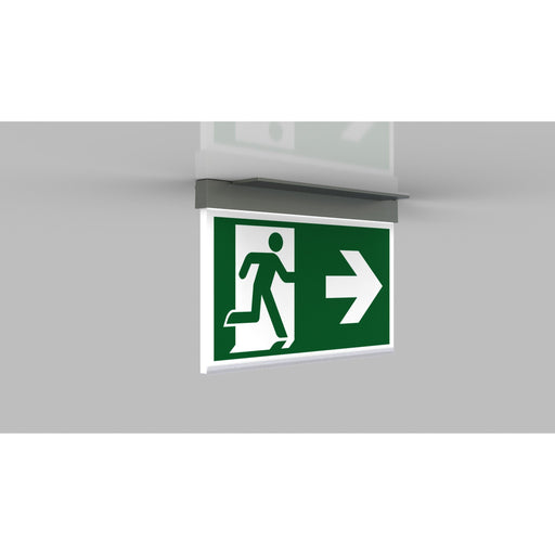 RP-Technik - Sicherheitsleuchte LED-Rettungszeichenleuchte AXC009-E ZB, Edelstahloptik