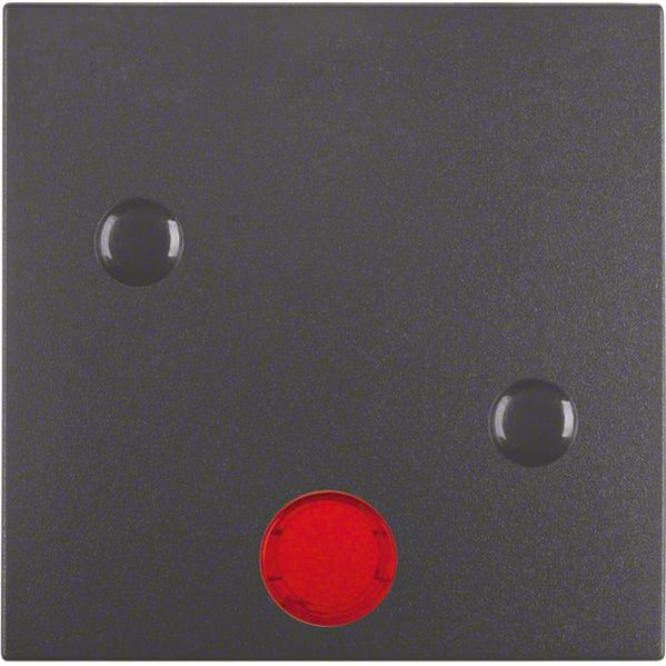 Berker - Abdeckung/Bedienelement für Installationsschalterprogramme Wippe anschraubbar 15721606 B.3/B.7 anth