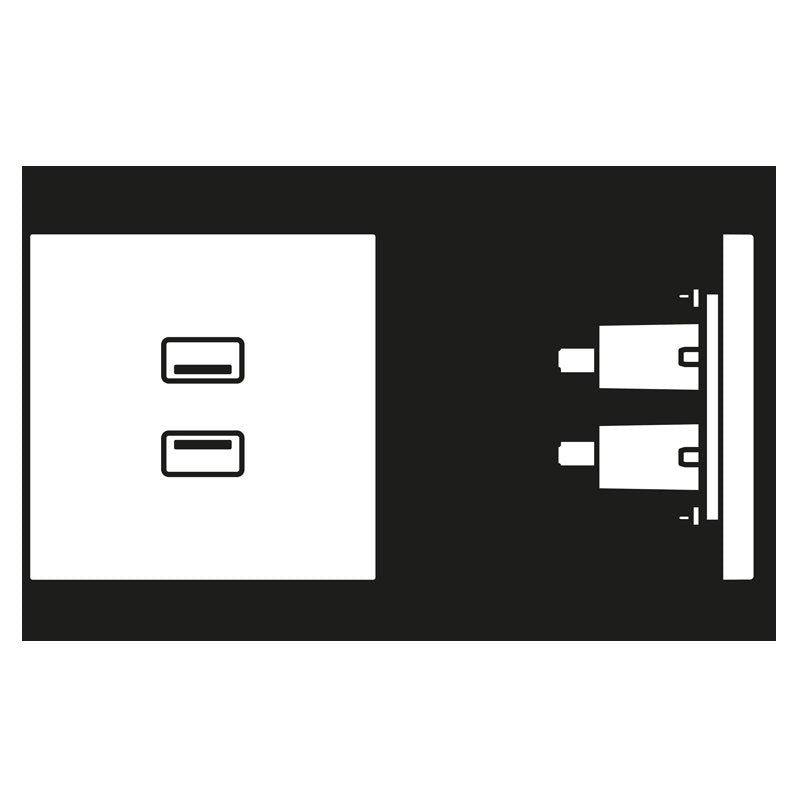 Jung - Multifunktions-Anschlussdose Multimedia-Anschluss ws MA LS 1153 2 x USB m.Tragring