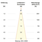EVN Lichttechnik - Downlight/Strahler/Flutlicht LED-Schienenstrahler CT350925