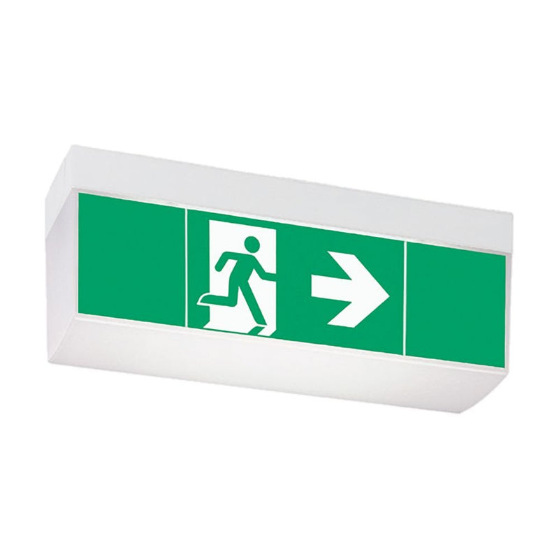 Ceag Notlichtsysteme - Sicherheitsleuchte LED-Rettungszeichenleuchte StyleII51021LEDCG-S