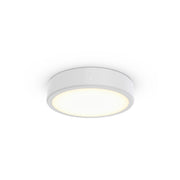 Philips Lighting - Decken-/Wandleuchte 3D-LED-Leuchte TCBRMS 19S #86388000 930