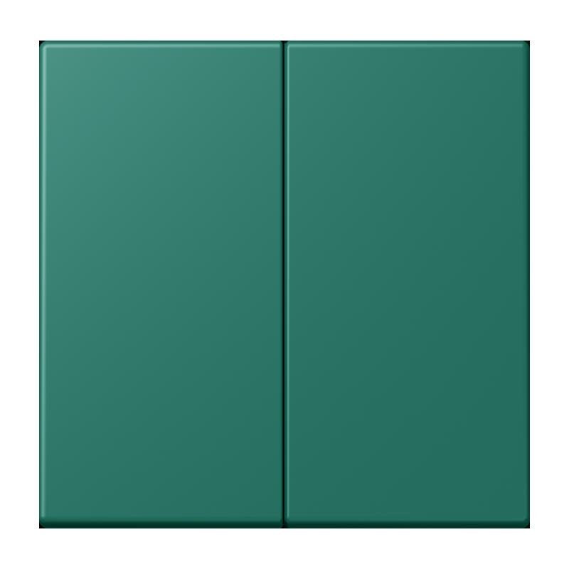 Jung - Abdeckung/Bedienelement für Installationsschalterprogramme Wippe für Taster 2fach LC 102 216 vert anglais