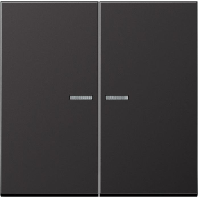 Jung - Bussystem-Tastsensor KNX RF Taster 2fach AL 10921 ST RF D Aluminium lackiert