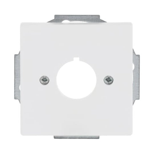 Busch-Jaeger - Einsatz/Abdeckung für Kommunikationstechnik Zentralscheibe stws mt 2533-884 22,5mm Befehlsgeräte
