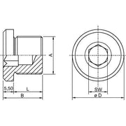 Stahl - Verschlussschraube Verschlussstopfen CMP-767-D-M2-5 CMP-767D VST MsNi M2