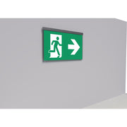 RP-Technik - Sicherheitsleuchte LED-Rettungszeichenleuchte AGR408WL-E EB8h Wirel. eds-opt