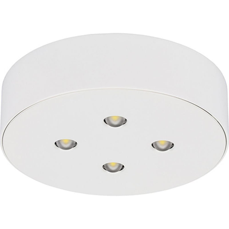 Ceag Notlichtsysteme - Sicherheitsleuchte 3514 LED CG-S