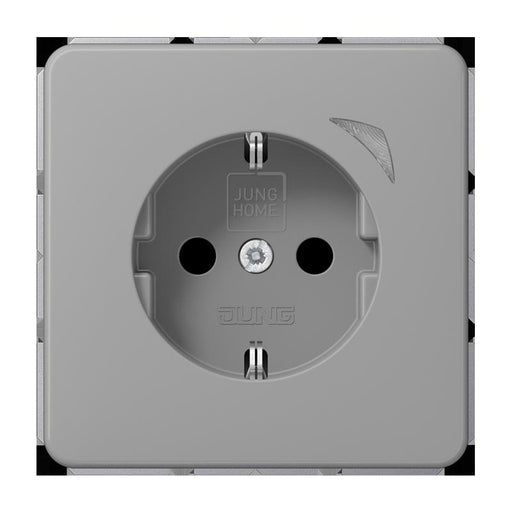 Jung - Steckdose SCHUKO Steckdose 16 A 250V BT CD 1521 S GR m. Berührungsschutz
