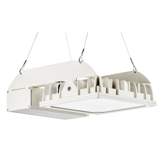 Pracht - Hallen-Reflektorleuchte LED-Hallenstrahler QUADRONIUS #86380221 IND DALI 4000K SK I