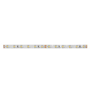 Brumberg Leuchten - Lichtschlauch/-band LED-Flexband 5000mm 15201007 24V grün IP00