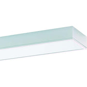 Ridi-Leuchten - Decken-/Wandleuchte Anbauleuchte m.RIDI-Tube IHLS-L 454/ #0660095