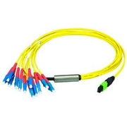 Telegärtner - Patchkabel LWL MPO/MTP Aufteilkabel gb 2m 100010967 MPO OS2 12LC SM