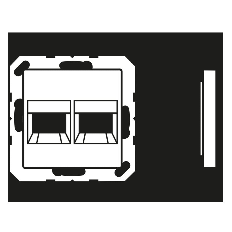 Jung - Einsatz/Abdeckung für Kommunikationstechnik Abdeckung A 1569-2 NA AT f.Modular-Jack