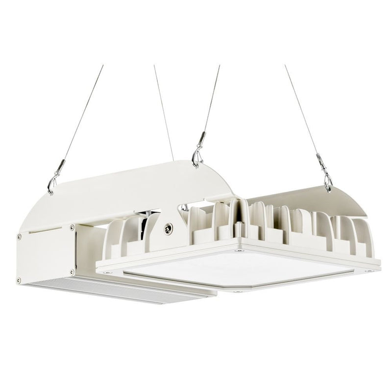 Pracht - Hallen - Reflektorleuchte LED - Strahler QUADRONIUS #86890121 4000K 40°